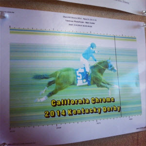 California Chrome wire photo